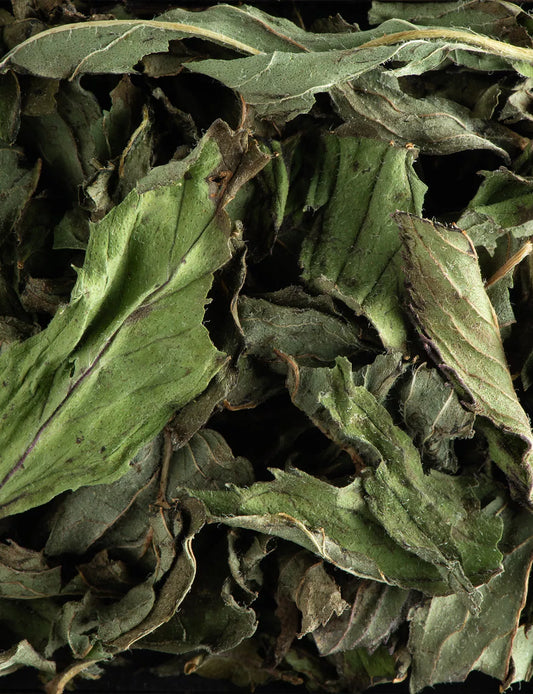 Menthe poivrée - 25 sachets - Maison Sakura