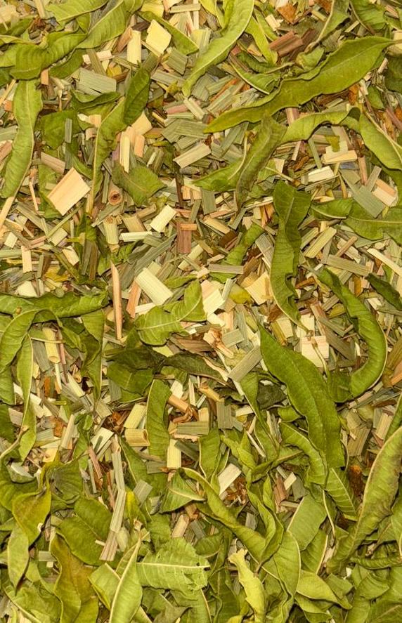 Tisane du Garlaban BIO - Maison Sakura