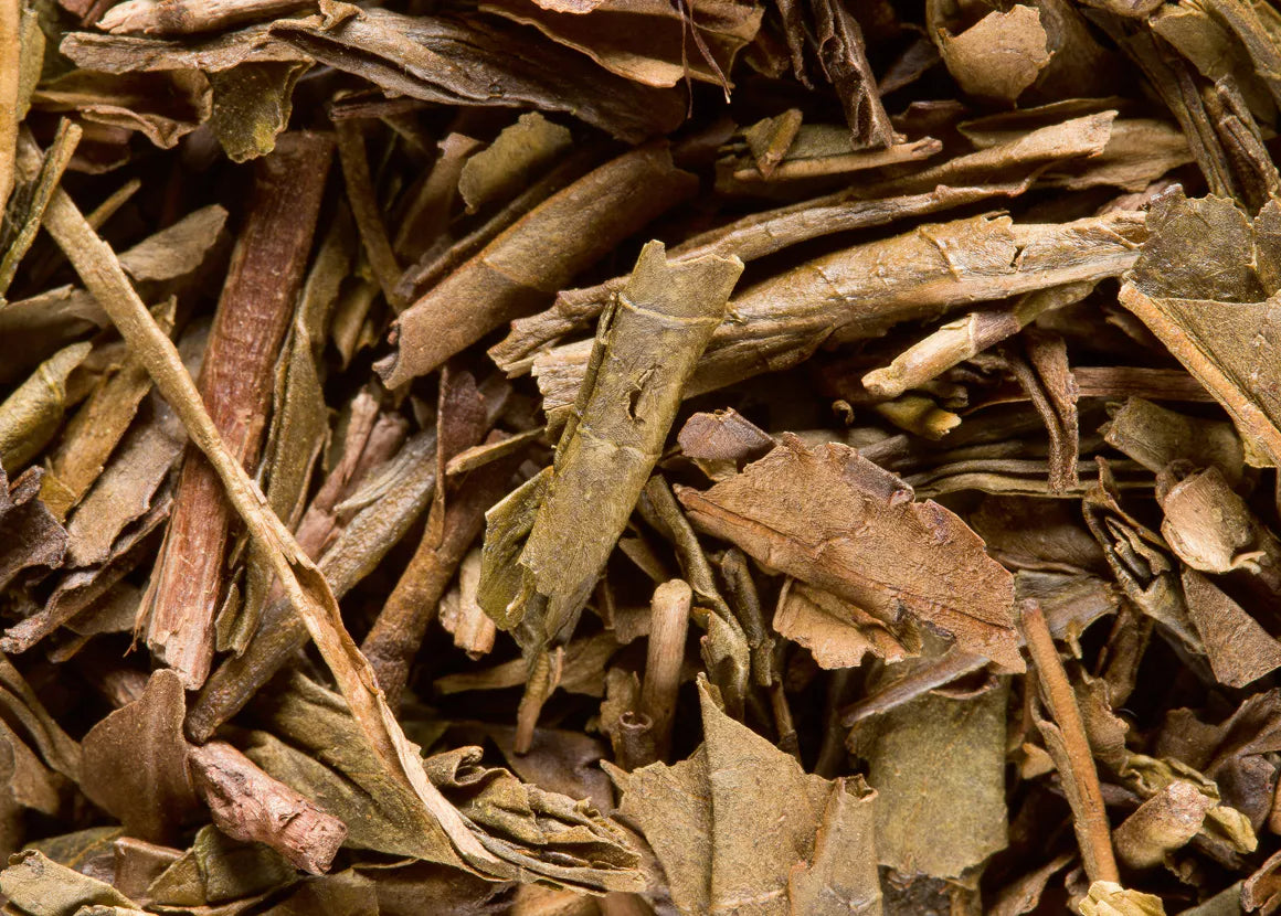 Houjicha - Maison Sakura