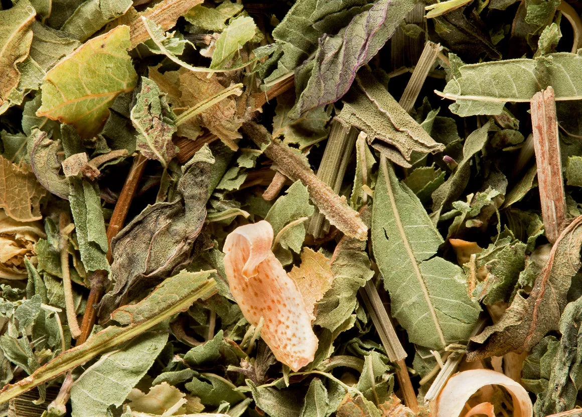 Tisane du Berger - Maison Sakura