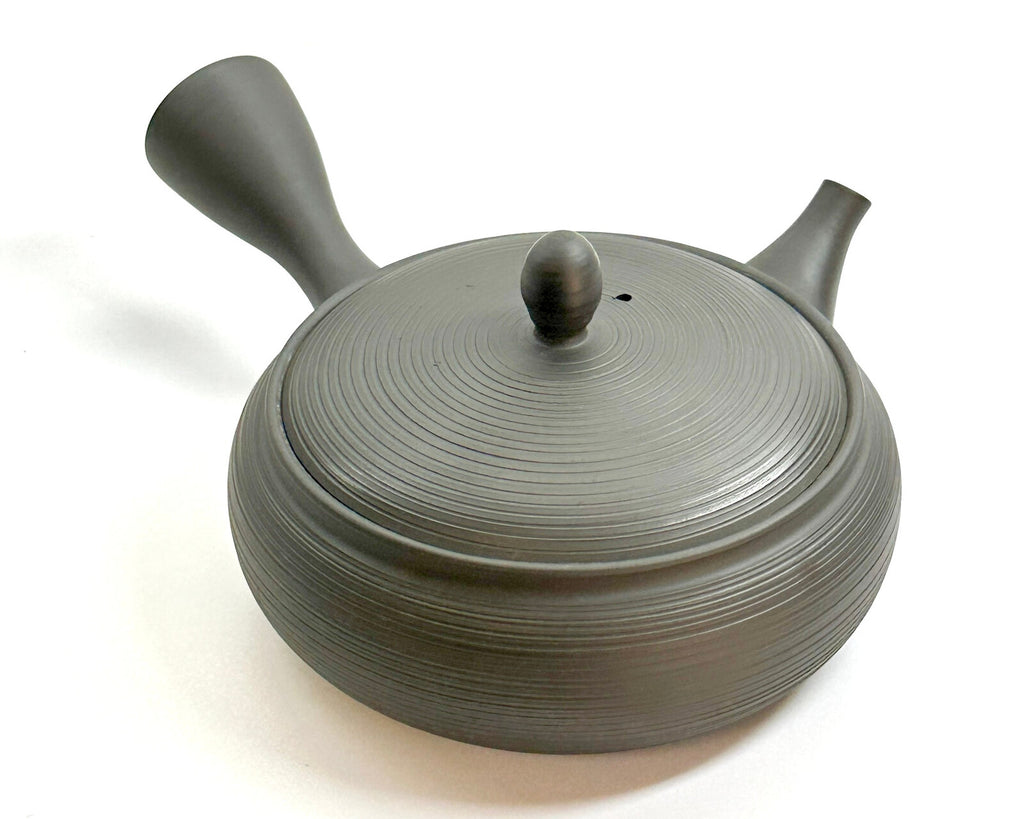 Théière japonaise Kyusu Tokoname en céramique 200ml