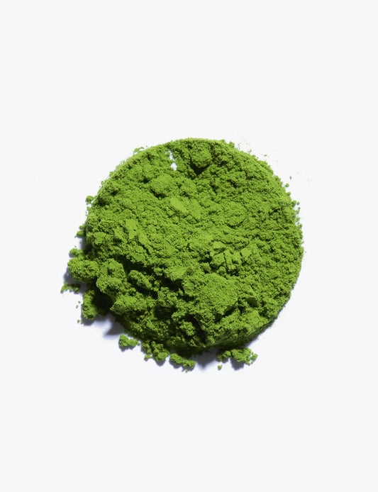 UJI Matcha - tradition - Maison Sakura