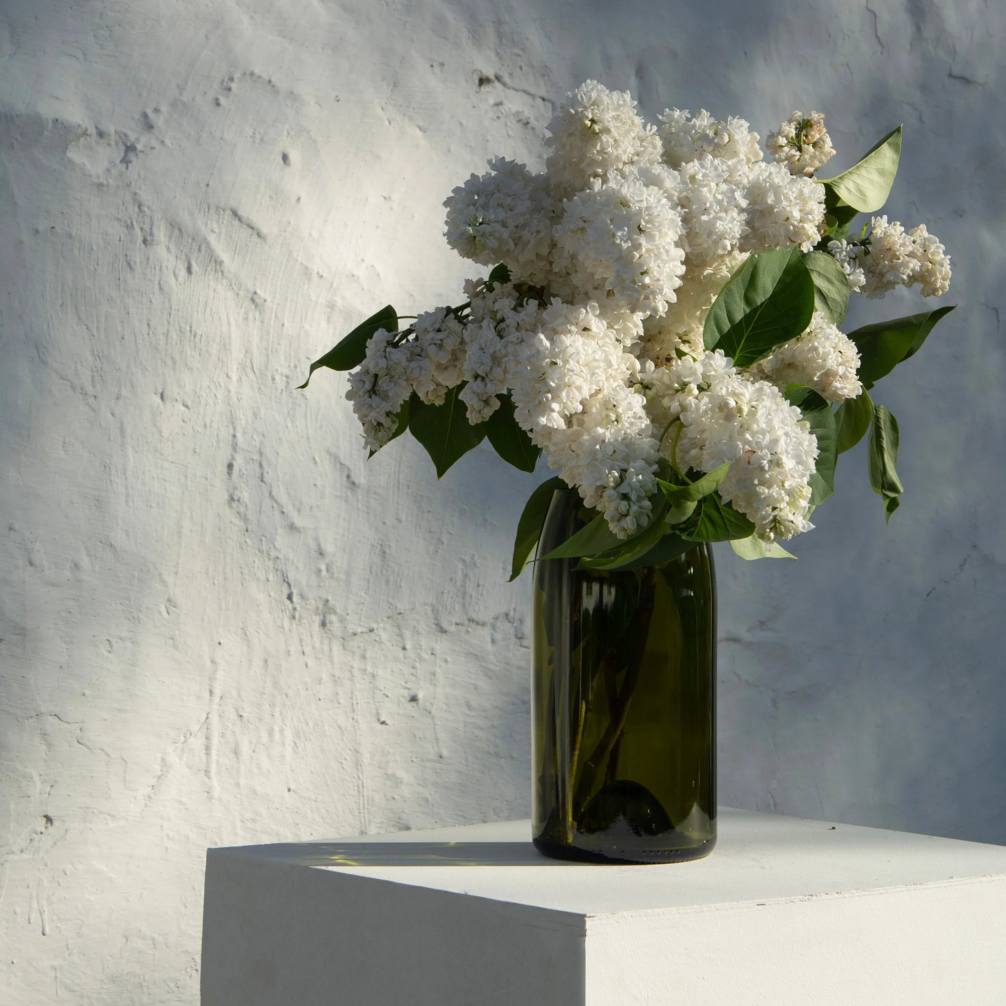 Vase | QDB éditions