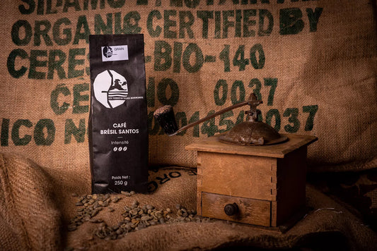Café | Brésil santos