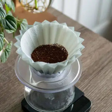 Filtre à café  | Origami