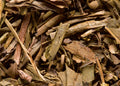 Houjicha - Maison Sakura