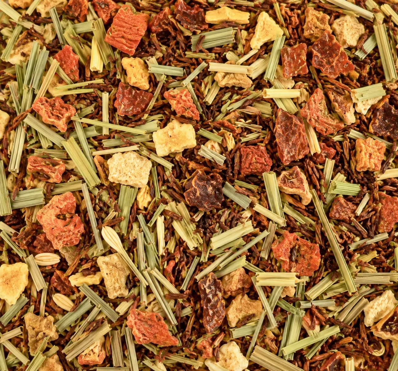 Jardin du soir BIO