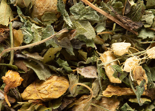 Tisane Magic Ginger - Maison Sakura