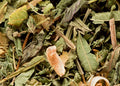 Tisane du Berger - Maison Sakura