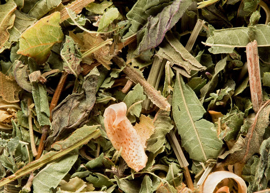 Tisane du Berger - Maison Sakura